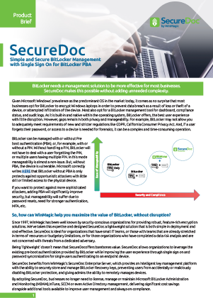 BitMana Bitlocker Management