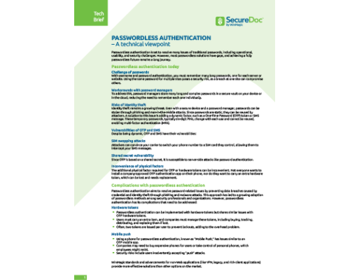 Passwordless Authentication Viewpoint