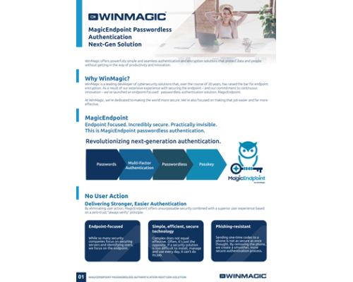 MagicEndpoint-Passwordless-Authentication-Next-level-Solutions