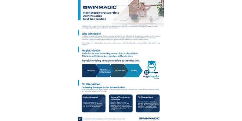 MagicEndpoint Passwordless Authentication Next-Gen Solution